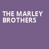 The Marley Brothers, Cellairis Amphitheatre at Lakewood, Atlanta