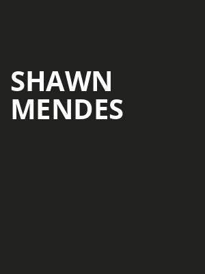 Shawn Mendes, State Farm Arena, Atlanta