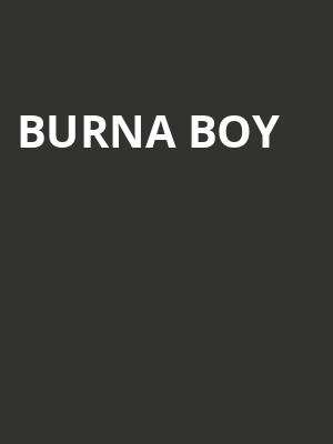 Burna Boy Poster