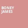 Boney James, Mable House Amphitheatre, Atlanta