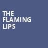 The Flaming Lips, Coca Cola Roxy Theatre, Atlanta